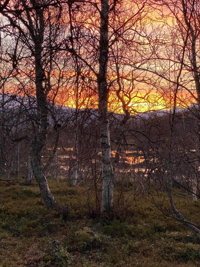 Lyngen, Mackay Appartment, Lyngen Lyngseidet エクステリア 写真