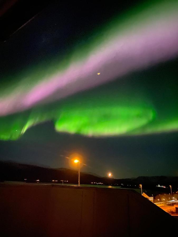 Lyngen, Mackay Appartment, Lyngen Lyngseidet エクステリア 写真